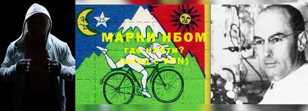 амф Белоозёрский