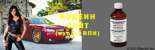 прущие грибы Балабаново