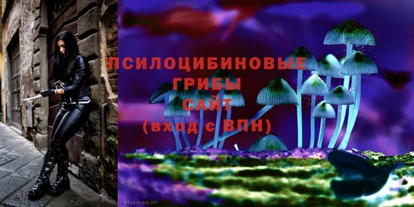 ПСИЛОЦИБИНОВЫЕ ГРИБЫ Белокуриха