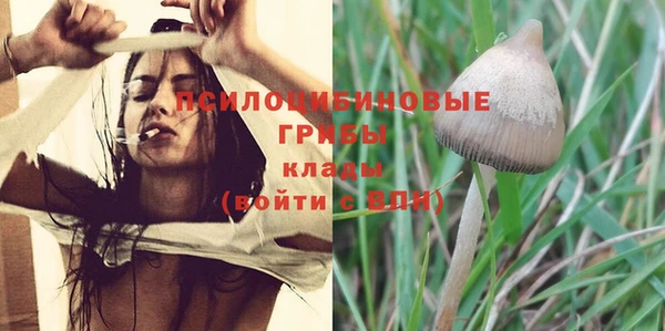 амф Белоозёрский