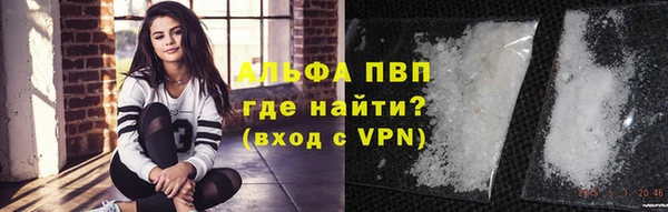 ПСИЛОЦИБИНОВЫЕ ГРИБЫ Белокуриха