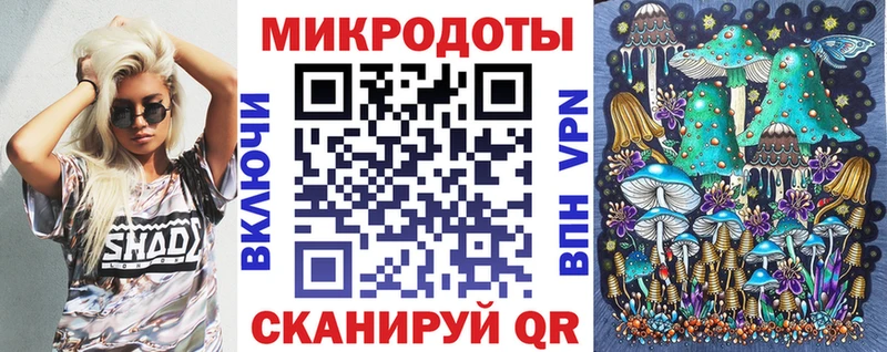 Галлюциногенные грибы Psilocybe  купить наркотик  Гороховец 